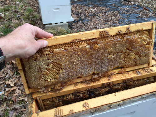 Each of my hives held about 65 pounds of honey -- a classic symptom of colony collapse disorder (CCD): lots of honey, no bees. (Photo: shooflyfarm, Jim Ewing)